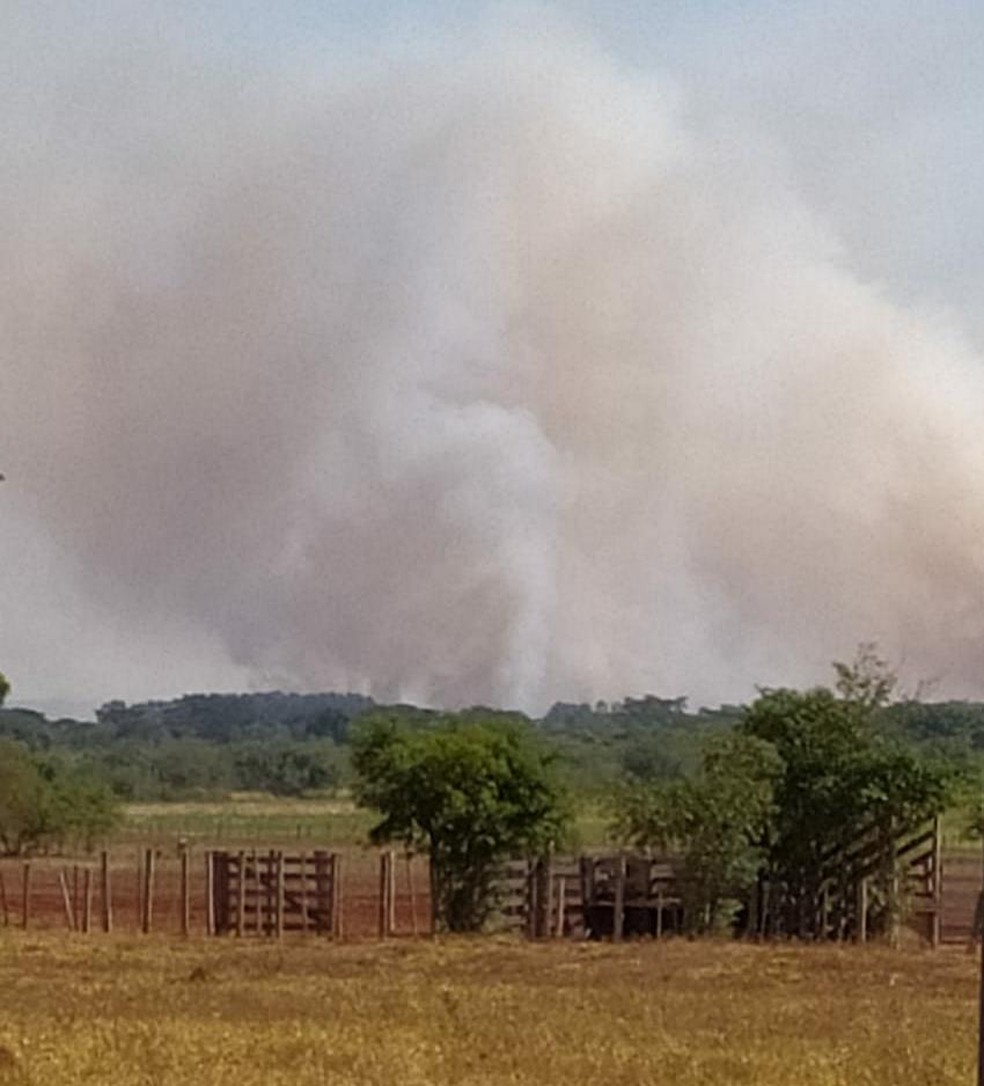 Incêndio atinge a Reserva São Paulo em Presidente Epitácio — Foto: Djalma Weffort/Cedida