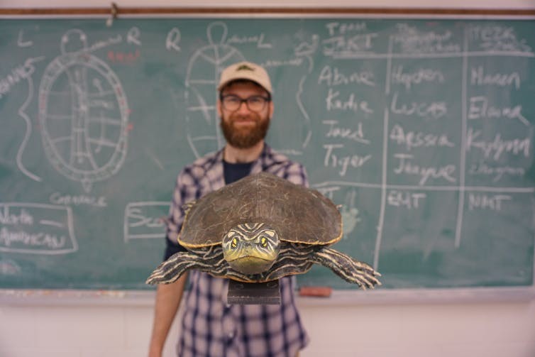 Cientistas usam "bonecas infláveis" para estudar vida sexual de tartarugas (Foto: Grégory Bulté/The Conversation)