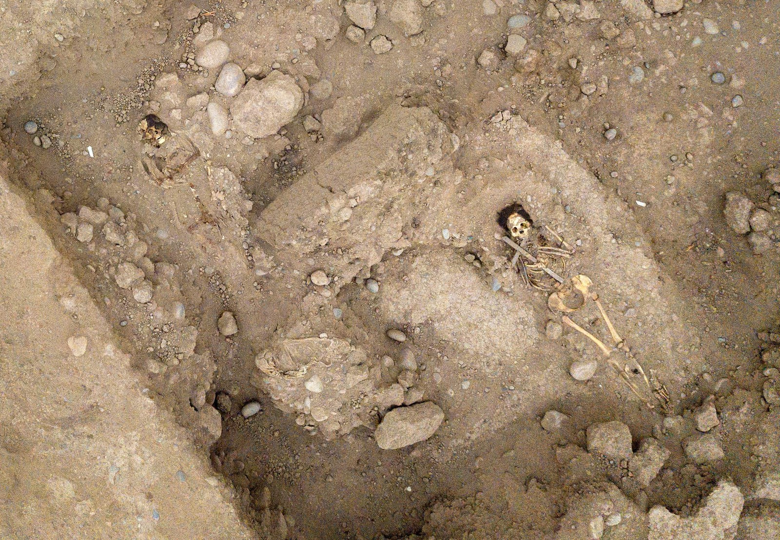 Santuário pré-hispânico de 1.000 anos localizado dentro do zoológico principal de LIma, a capital do Peru, onde foram encontrados três sepultamentos da era colonial  — Foto: CRIS BOURONCLE / AFP