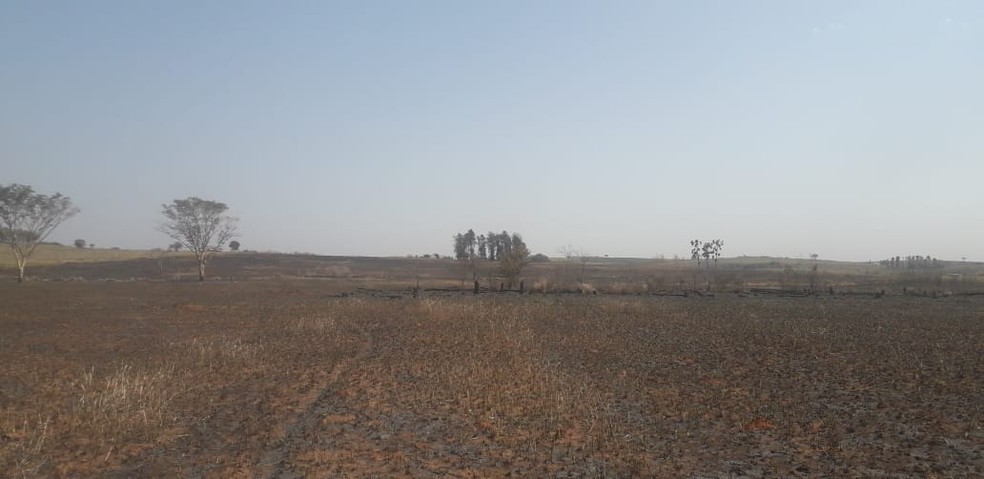 Áreas queimadas foram em Pacaembu e Marabá Paulista — Foto: Polícia Ambiental 