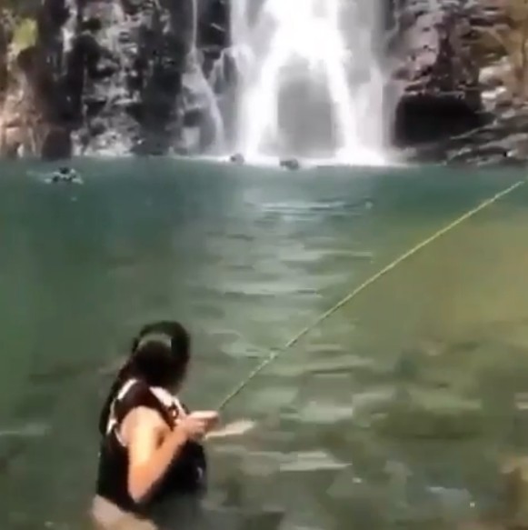 Vídeo mostra momento em que médica pede socorro ao ser picada por uma