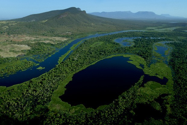 Vista aérea do pântano (Foto: Divulgação)
