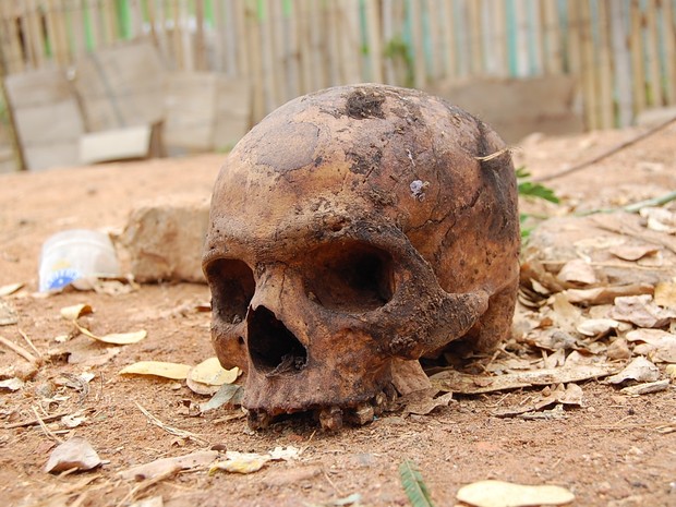 Crânio humano é encontrado na zona rural de Manhuaçu