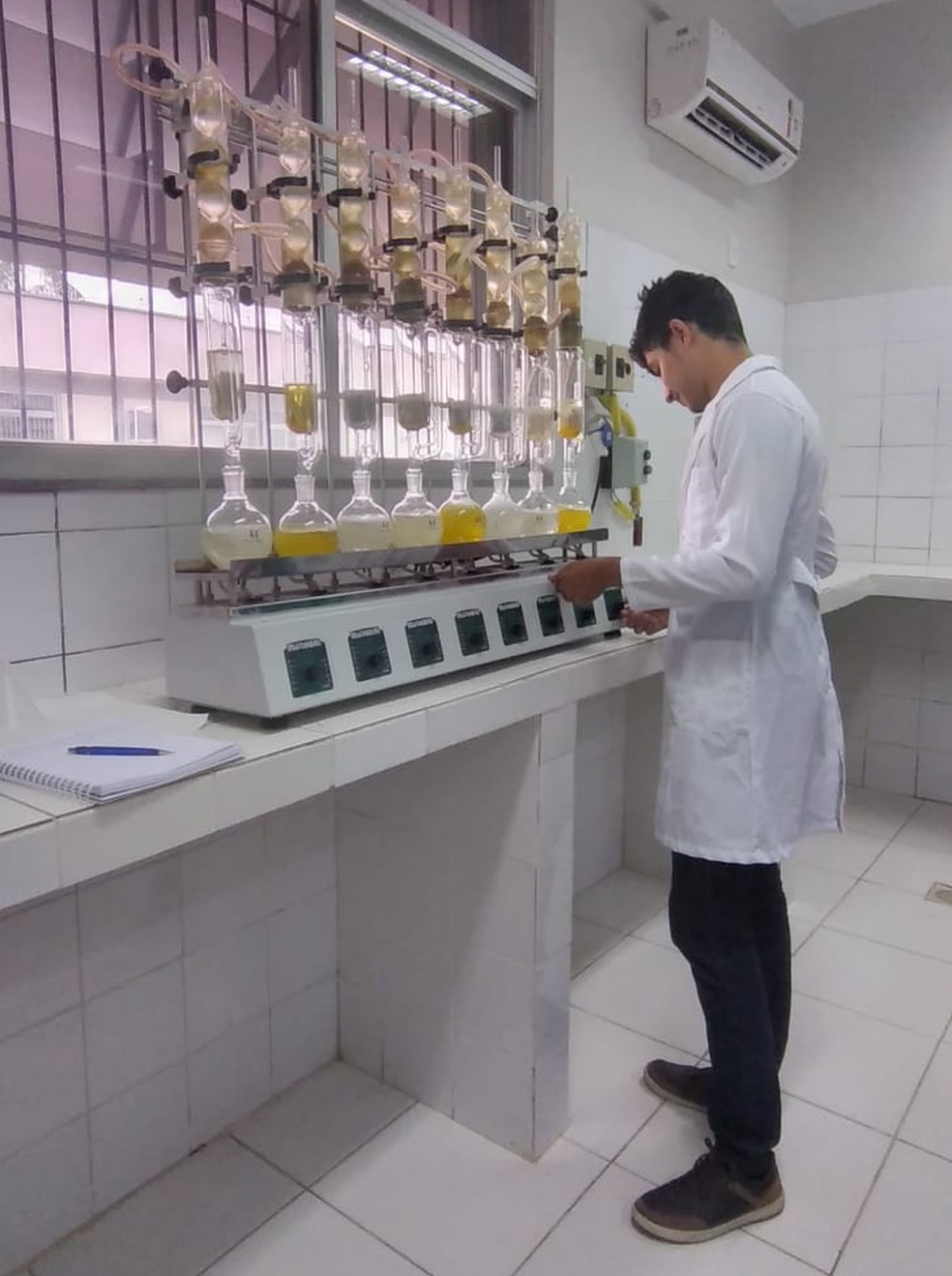 Estudantes de Engenharia Agronômica pretendem detectar molécula responsável pela filtração dos raios solares — Foto: Arquivo pessoal