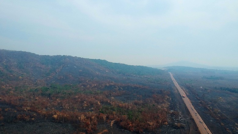 queimadas-amazonia-floresta-incendios-fogo-br-163 (Foto: Emiliano Capozoli/Ed.Globo)