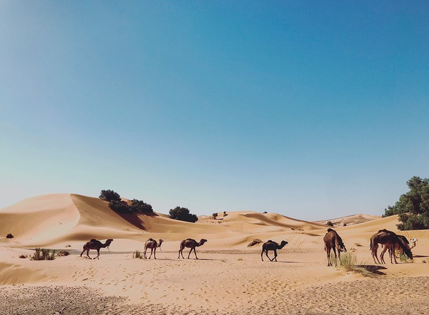 Viagem - Marrocos (Foto: Danton Coelho e Natasha Frota / Divulgação)