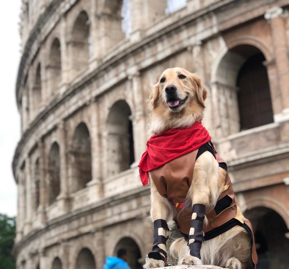 Lilo em frente ao Coliseu, em Roma — Foto: Talita Meurer Alberti/ Arquivo pessoal
