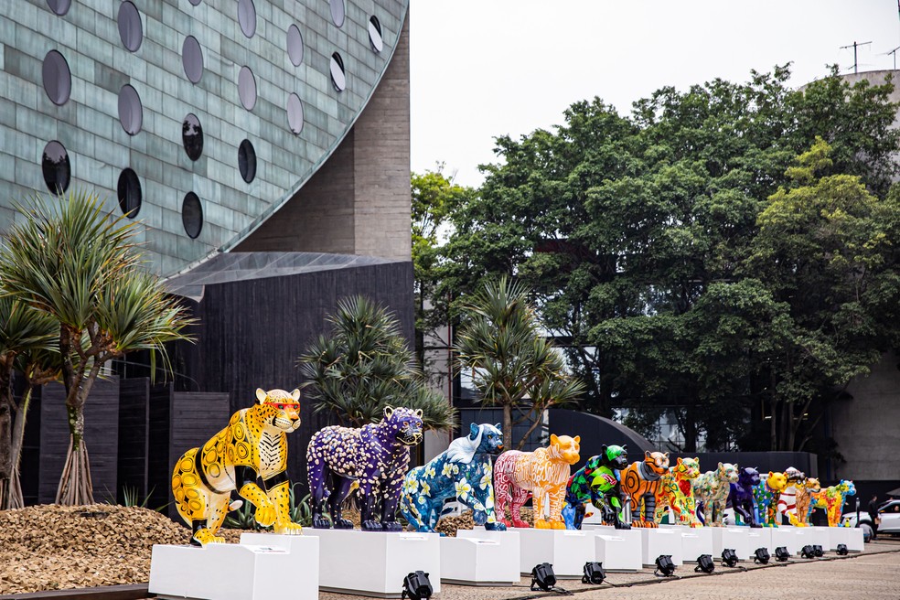 Exemplares de onças que fazem parte da Jaguar Parade 2019 — Foto: Luan Almeida/Divulgação