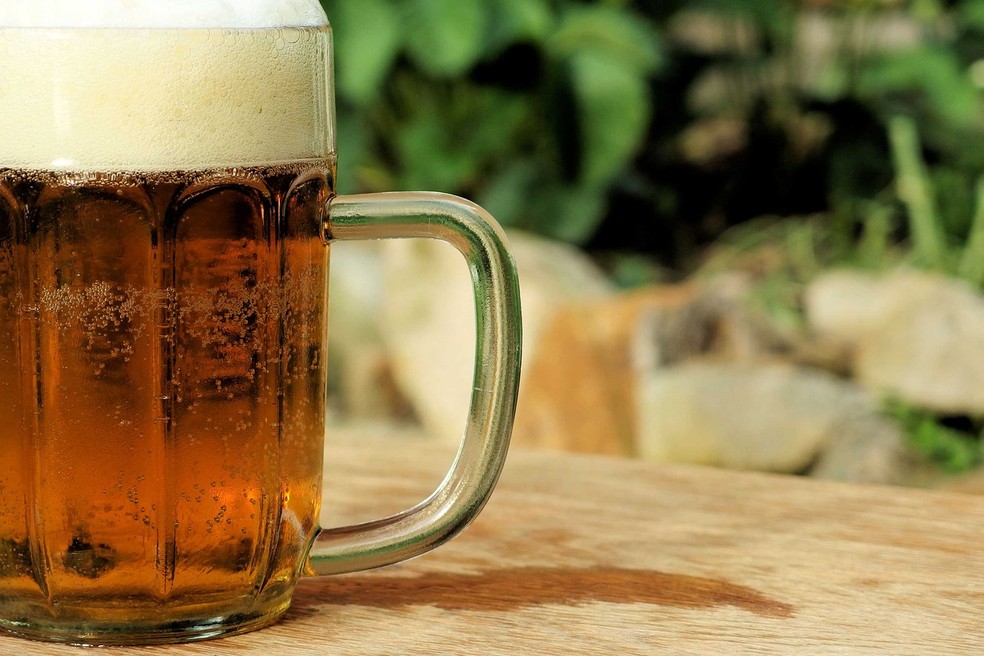 Padrão cervejeiro do grão da cevada deve conter umidade máxima de 13% e proteína máxima de 12% — Foto: Pixabay