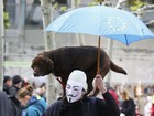 Homem é flagrado com cão sobre os ombros em protesto na Alemanha