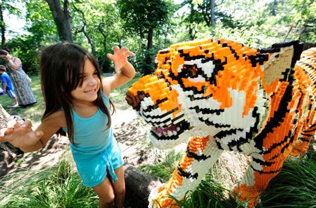Menina brinca com tigre feio de Lego no zoológico do Bronx (Foto: Divulgação / Bronx Zoo)