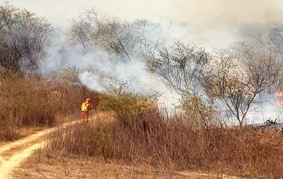 IncÃªndio atinge vegetaÃ§Ã£o em Quixeramobim, no CearÃ¡ â€” Foto: DivulgaÃ§Ã£o/Corpo de Bombeiros