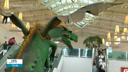 Exposição de dragões chama atenção de quem passa por shopping de Palmas