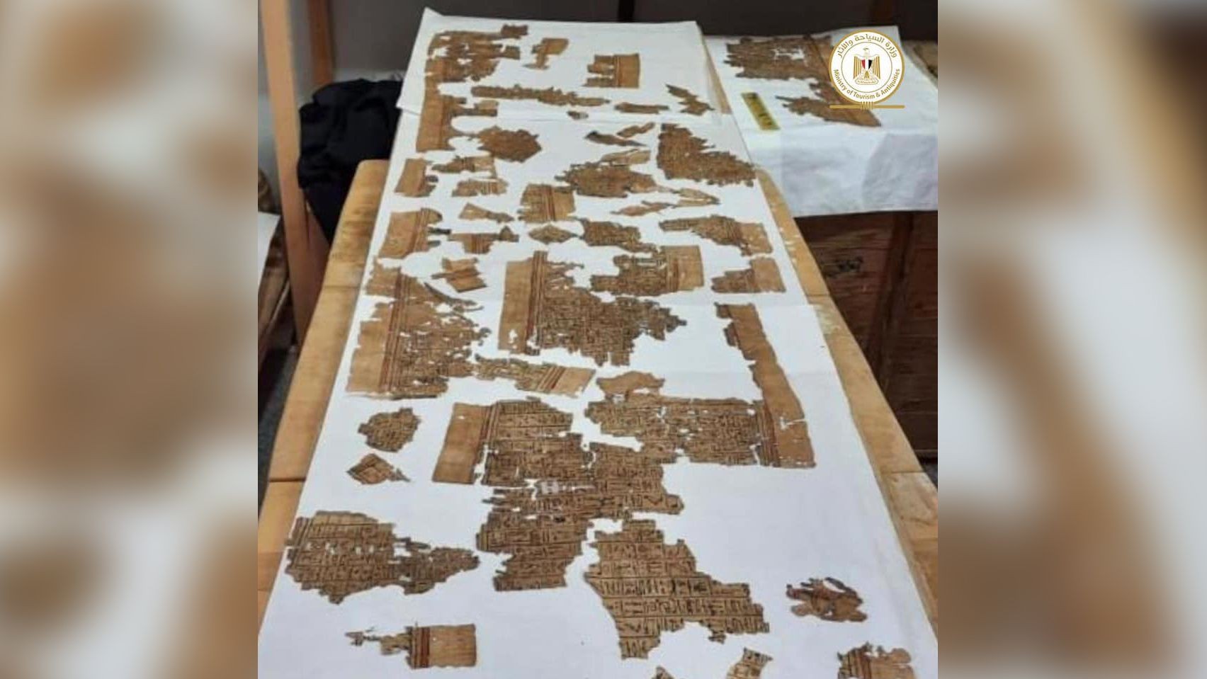 Papiro de quatro metros é encontrado em tumbas no Saqqara, no Egito (Foto: Ministério Egípcio de Antiguidades)