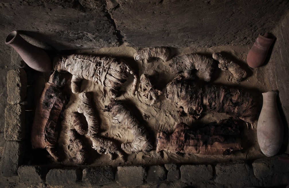 Gatos mumificados dentro de uma tumba na necrópole perto das pirâmides egípcias, em Sacará. Arqueologistas locais descobriram sete tumbas da era farônica contendo dúzias de múmias de gato e estátuas de animais feitas de madeira. — Foto: Nariman El-Mofty/AP