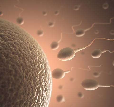 Perder peso de forma saudável ajuda a dobrar a produção de esperma, diz estudo