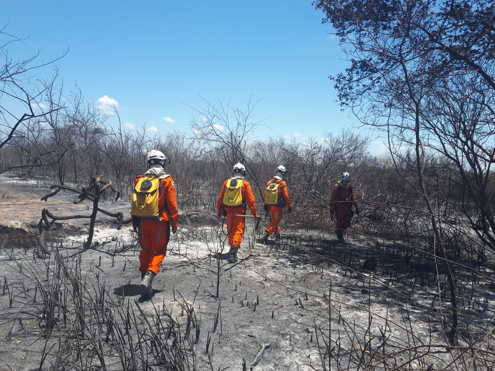 Incêndio causa destruição em área de vegetação de Abaré, no norte da Bahia — Foto: Divulgação/Prefeitura de Abaré