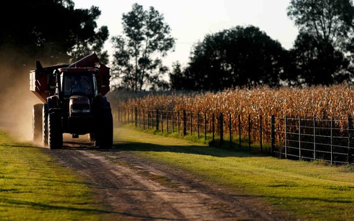 Es probable que el cinturón agrícola de Argentina esté expuesto a altas temperaturas en los próximos días – Revista Globo Rural