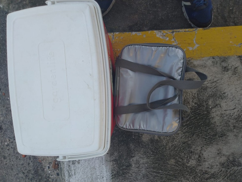 Caixa térmica e bolsa furtadas pelo carroceiro — Foto: Reprodução