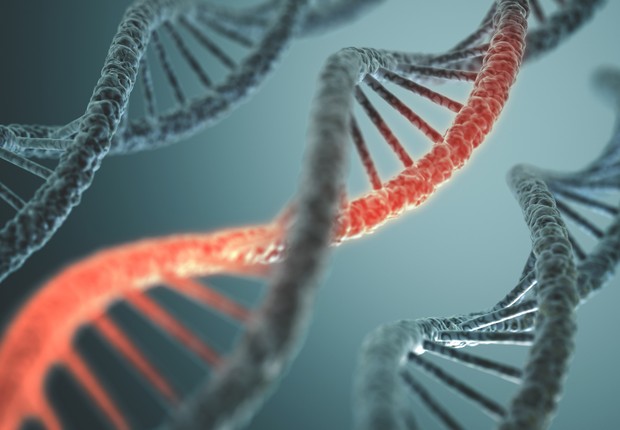 Estrutura do DNA (Foto: Thinkstock)
