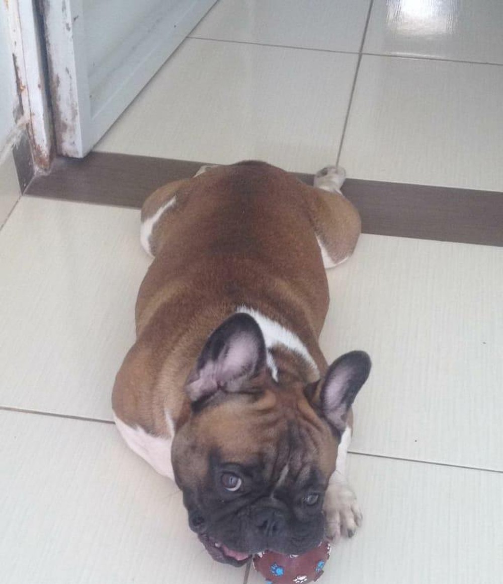 e9cfa8d1 1e22 40e0 8931 f6a8a8c11e0c