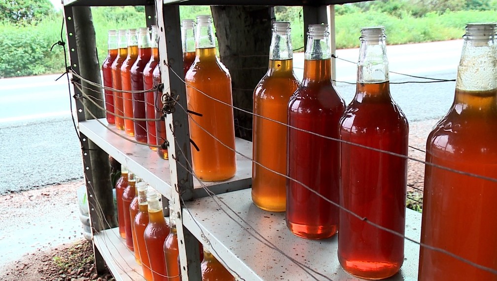 Centenas de famílias vivem exclusivamente da venda de mel na região de Picos — Foto: Reprodução/TV Clube