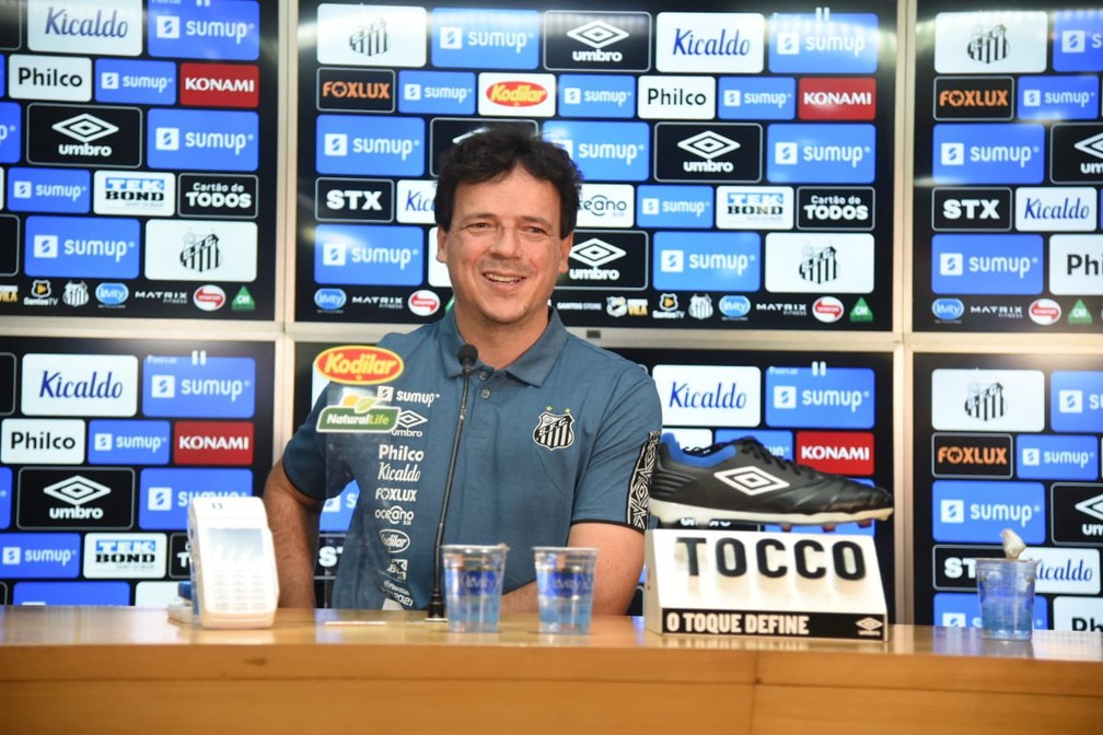 Fernando Diniz, novo t�cnico do Santos  � Foto: Ivan Storti/Santos FC