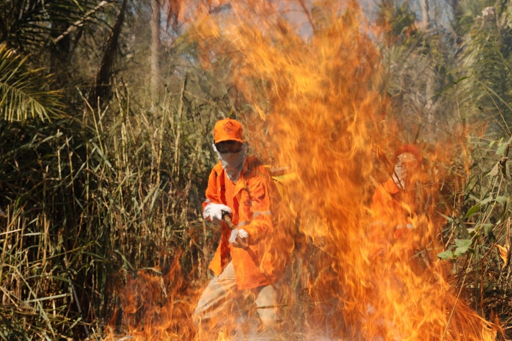Brigadista em meio ao combate ao fogo no Pantanal — Foto: Lawrence Wahba