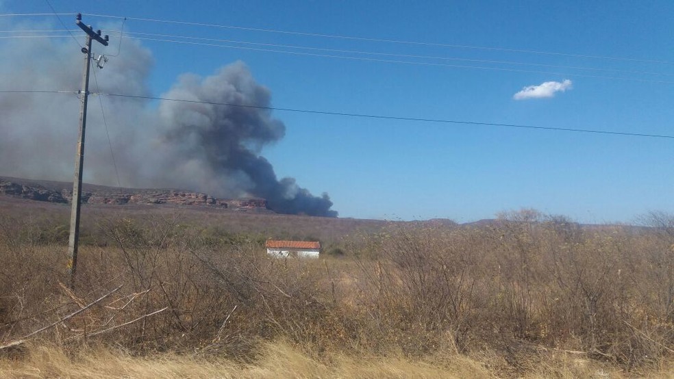 Parte do Parque Serra da Capivara está queimando (Foto: Reprodução / Fundham)
