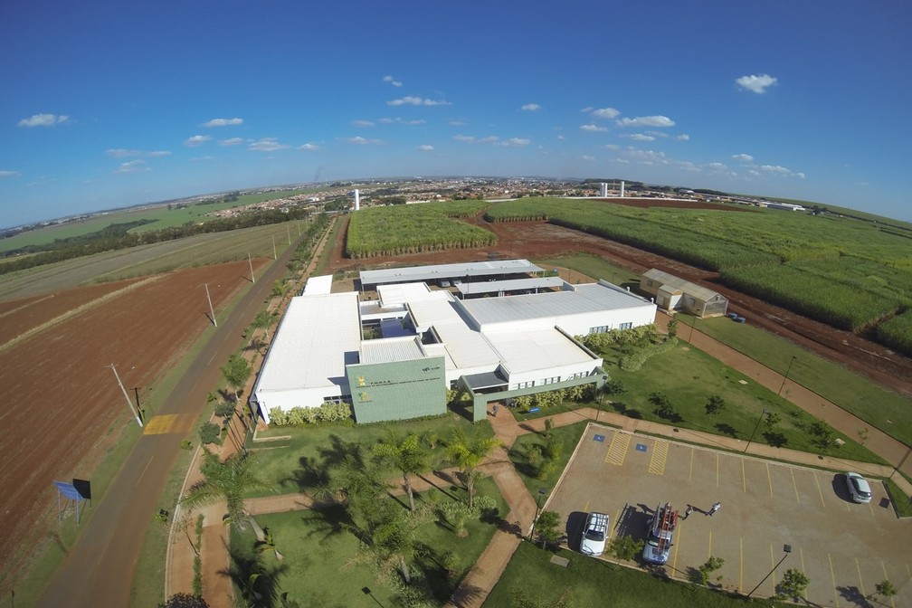O Programa de Melhoramento Genético da Cana-de-açúcar fica em uma área de 256 hectares. — Foto: PMGCA-UFSCar/Divulgação