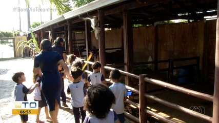Escolas tiram os alunos da sala de aula para explorarem a natureza