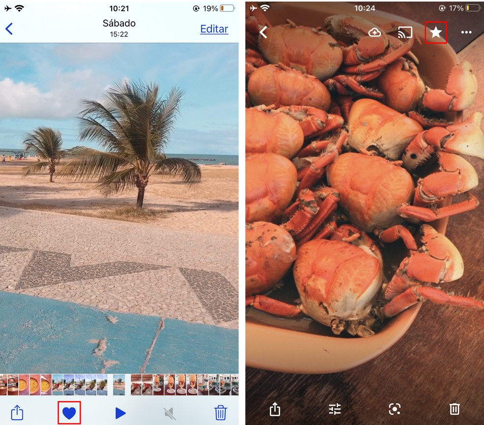 iPhone (iOS) e Android (Google Fotos) permitem marcar fotos como favoritas na galeria — Foto: Reprodução/Rodrigo Fernandes