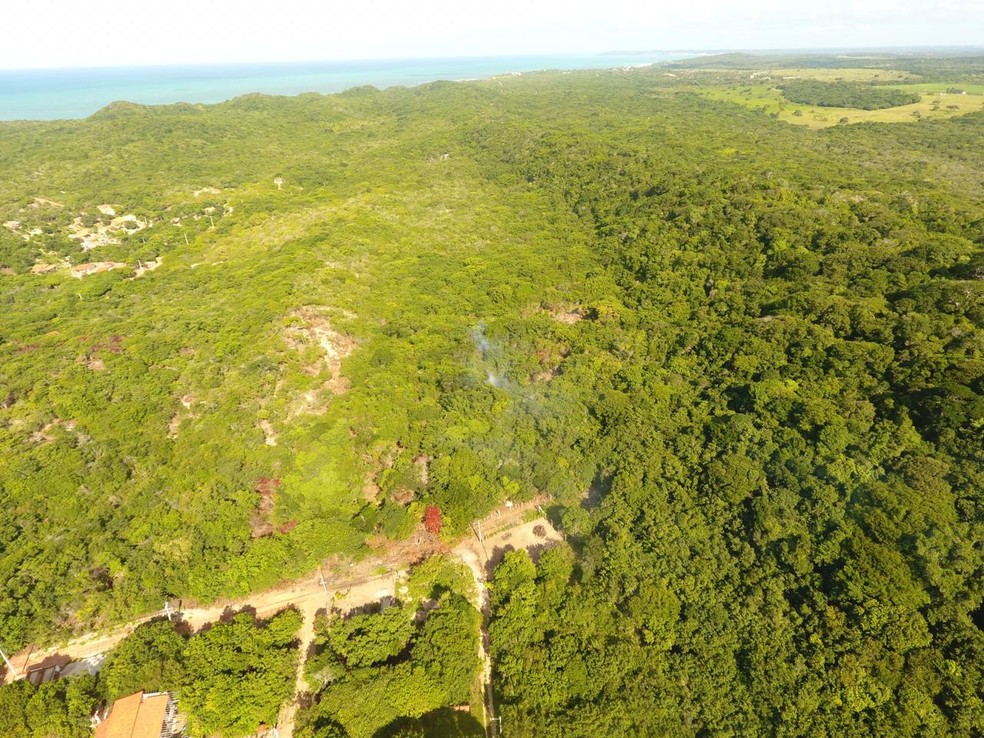 UtilizaÃ§Ã£o de drone tem ajudado a encontrar os focos de desmatamento â€” Foto: DivulgaÃ§Ã£o