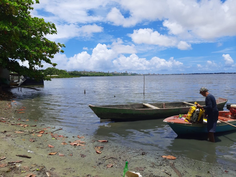 Pescadores encontram peixes mortos na Lagoa Mundaú — Foto: Ana Clara Pontes/g1