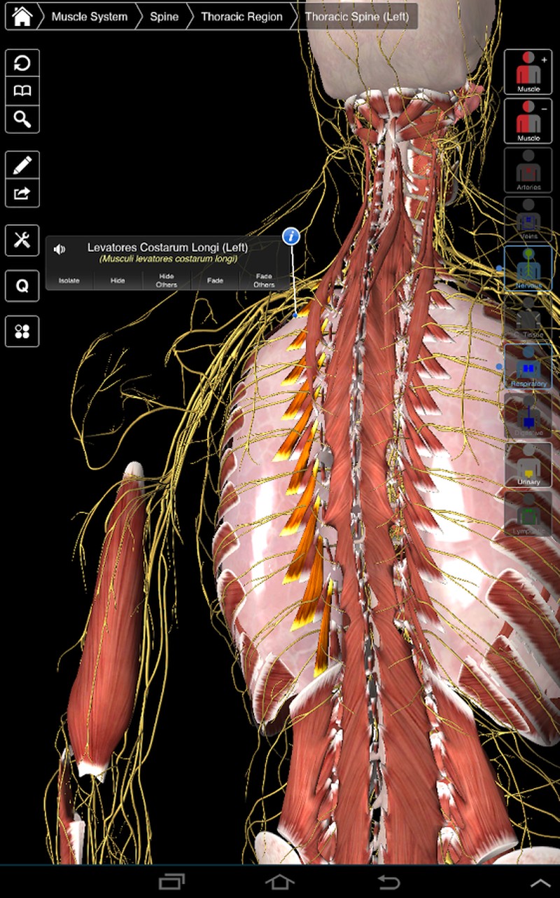 essential anatomy 3 windows free download