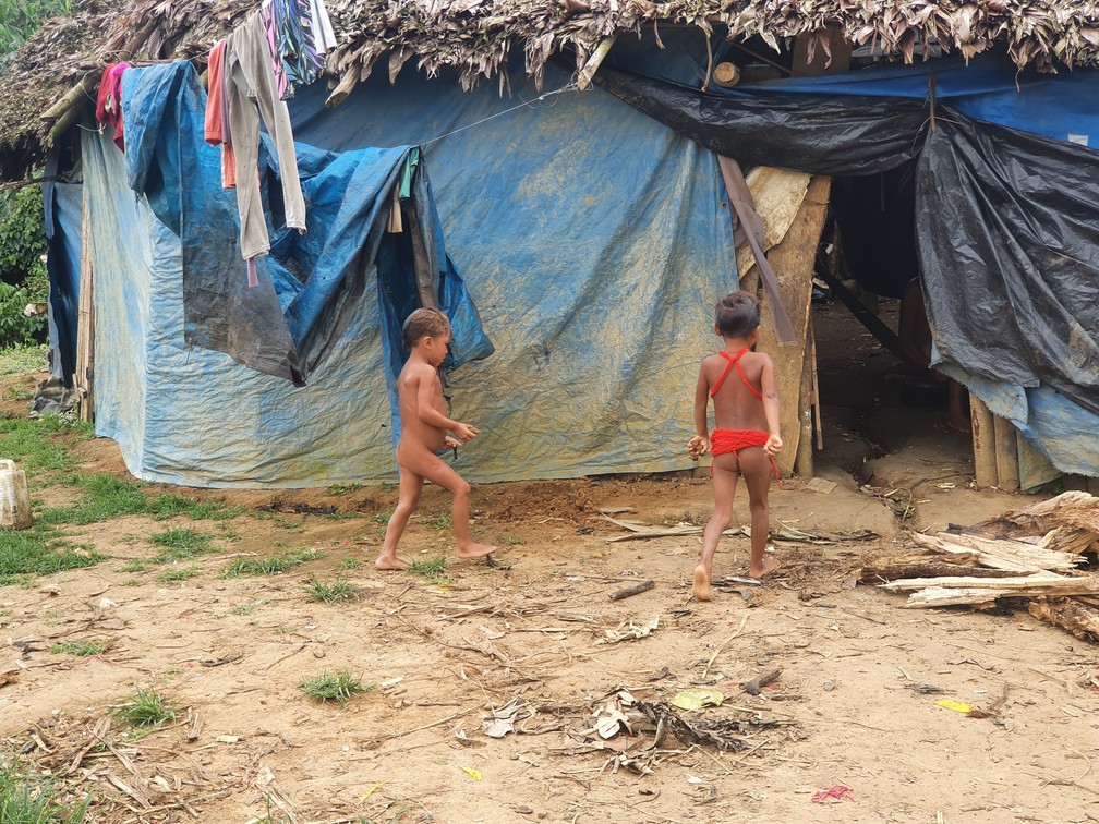 Crianças Yanomami da comunidade Xaruna, às margens do Rio Parima, vizinha a um acampamento de garimpeiros ilegais — Foto: Valéria Oliveira/g1