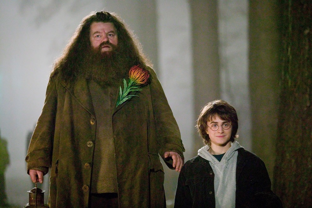 Hagrid (Robbie Coltrane) e Harry Potter (Daniel Radcliffe) em um dos filmes da franquia — Foto: Divulgação