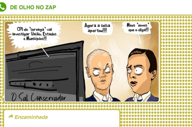 Bolsonaristas Tratam Como Vitoria A Abertura De Cpi Da Pandemia Malu Gaspar O Globo