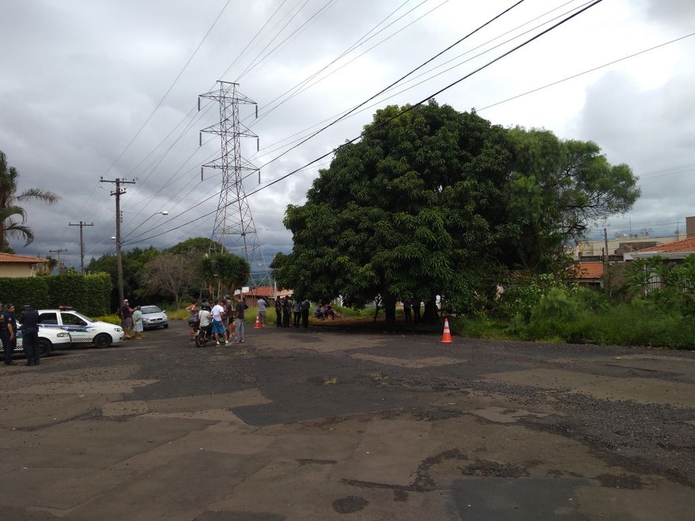 CPFL alegou a moradores que as árvores estavam colocando em risco as fiações elétricas por causa dos galhos (Foto: Claudinei Junior )