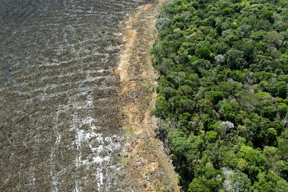 Nova legislação estadual e federal ameaça Pantanal
