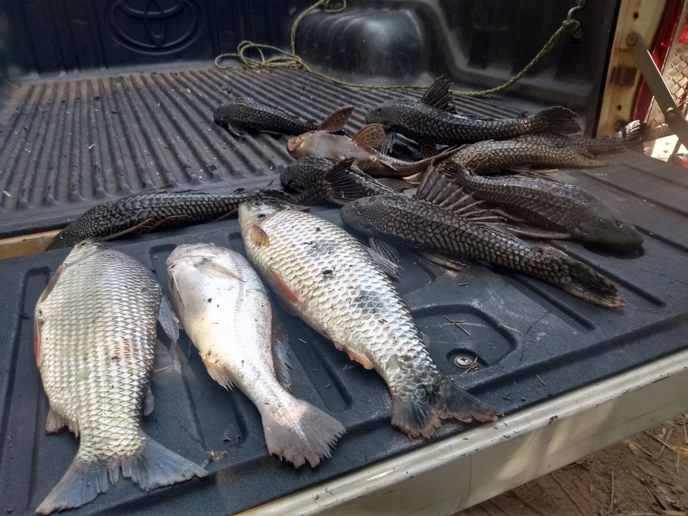 Polícia Ambiental apreendeu cerca de 10 quilos de peixe e uma tarrafa — Foto: Polícia Ambiental