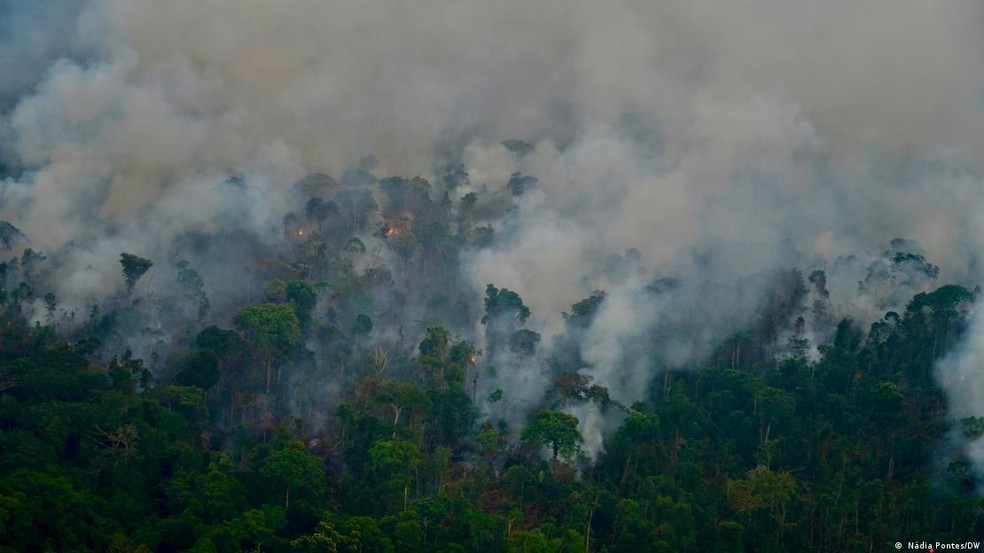 Número de queimadas na Amazônia em 2022 já é maior do que todo o ano passado