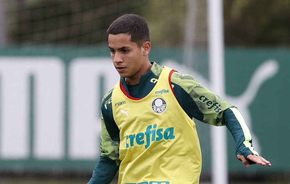 Palmeiras promove mais seis garotos da base para apoiar o profissional; veja os nomes