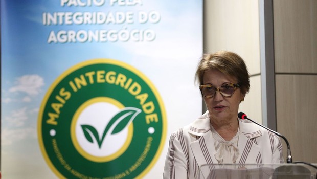 Ministra Tereza Cristina (Foto: José Cruz/Agência Brasil)