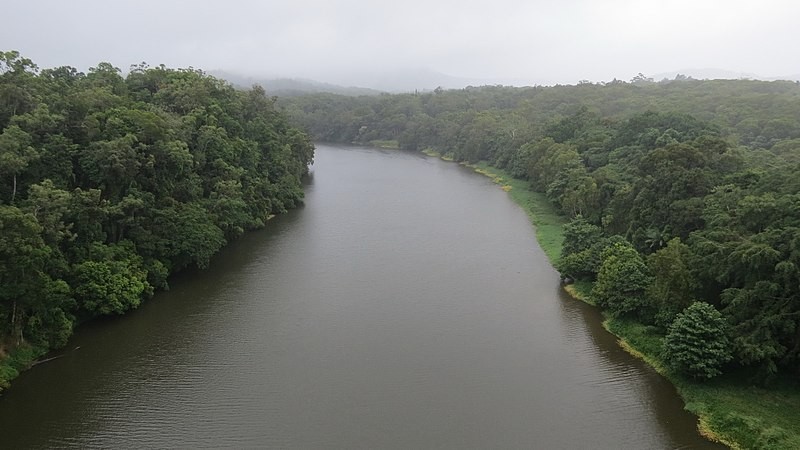Vista aérea da Daintree Rainforest em Queensland, na Austrália (Foto: Bob Linsdell / Wikimedia Commons / CreativeCommons)