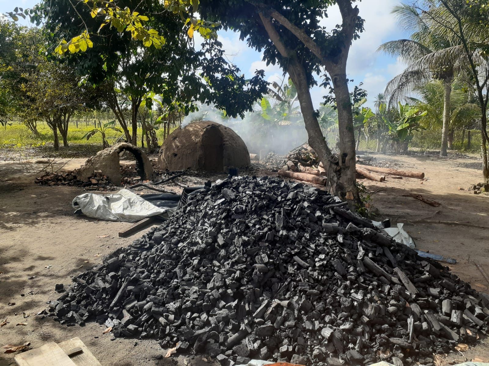 Quatro pessoas são presas por furto e produção ilegal de carvão no extremo sul da Bahia