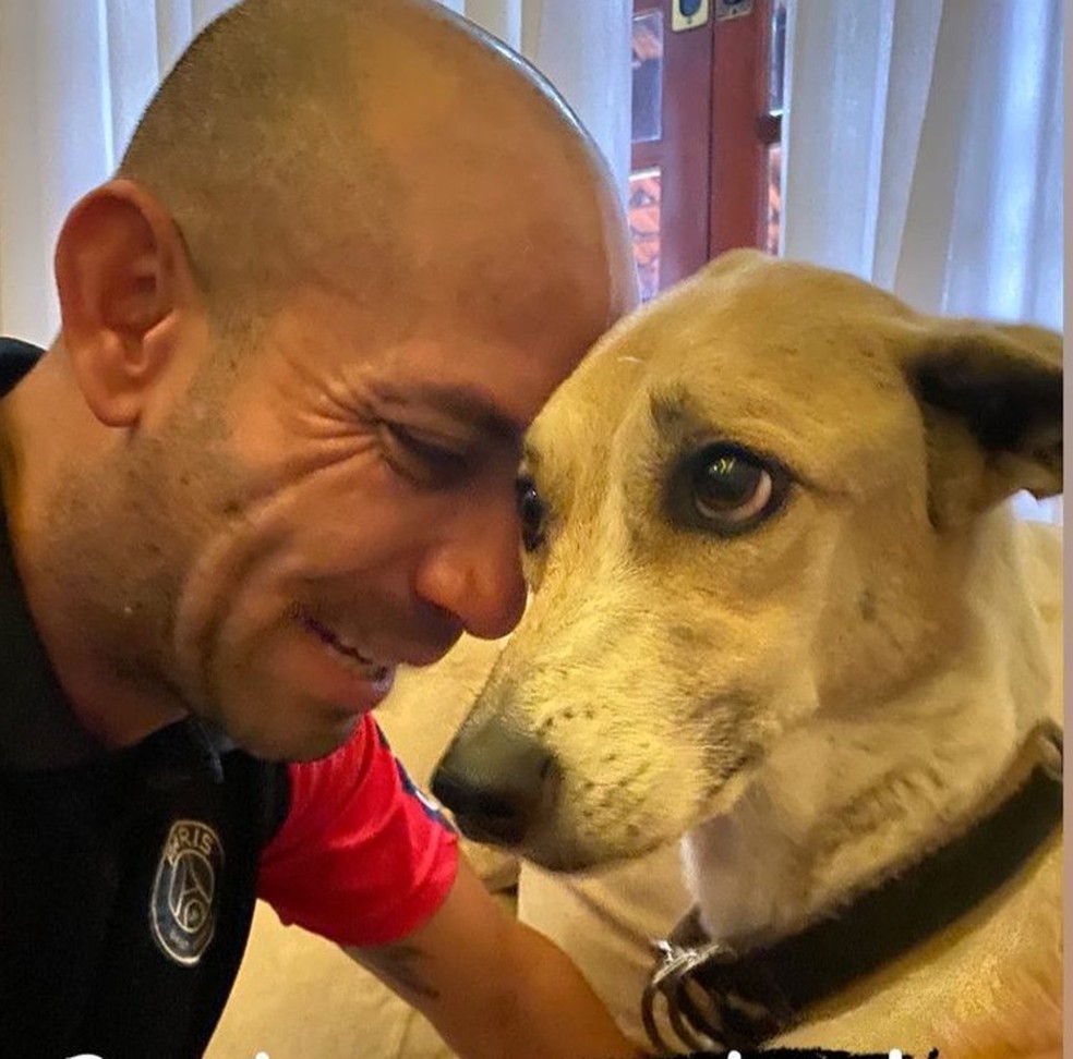 Reinaldo Júnior reencontra a cachorra Pandora depois de 45 dias de procura em Guarulhos, na Grande São Paulo. — Foto: Reprodução/Redes Sociais 