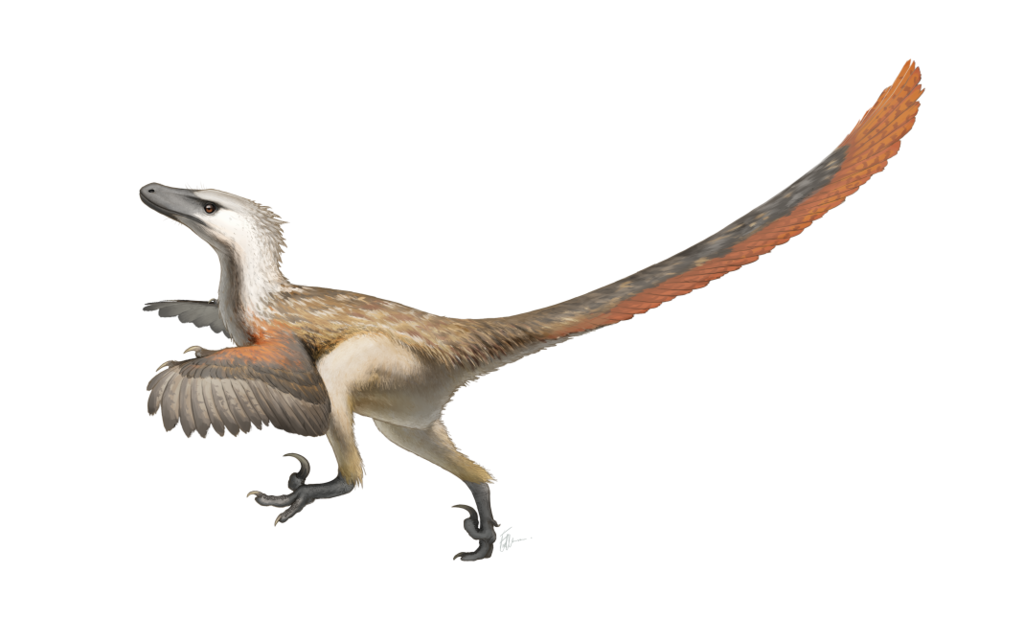 Ilustração do que teria sido um Velociraptor mongoliensis (Foto: Fred Wierum, via Wikimedia Commons)