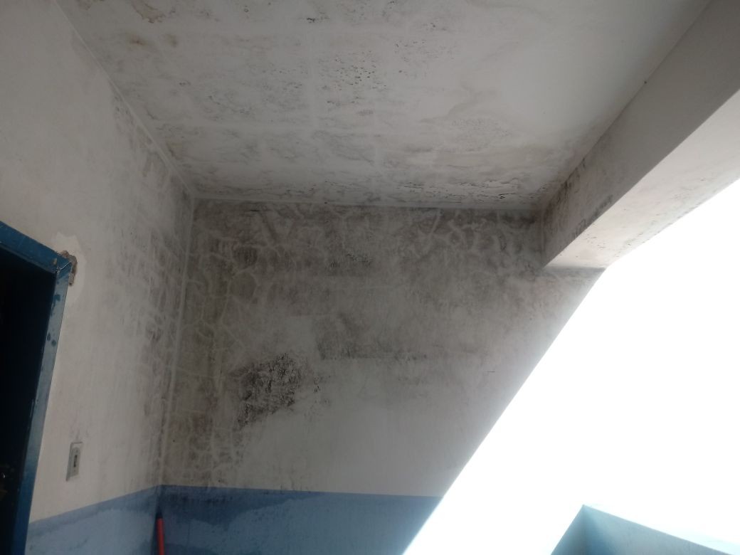 A umidade deixou mofo pela casa? Saiba como combater, higienizar e manter o ambiente saudável