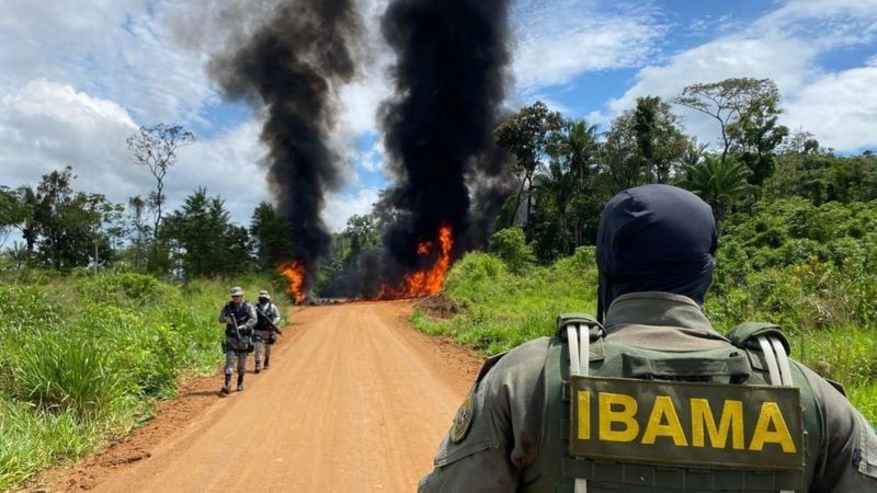 Agentes do Ibama chegam a pista de voo clandestina em Roraima (Foto: Ibama via BBC News)